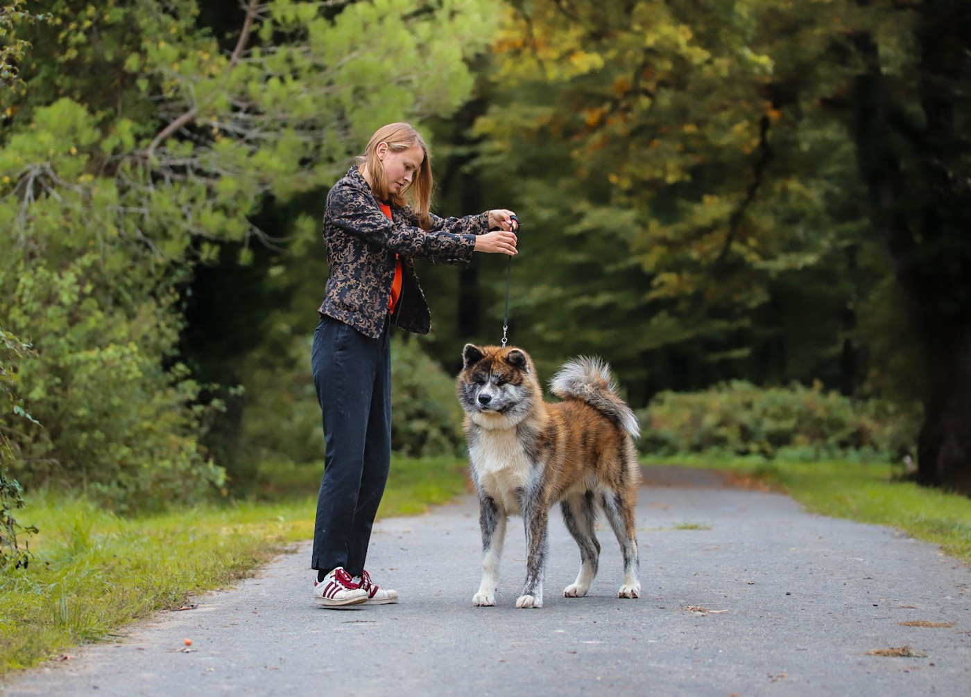 Vates diamant ginki hikaru Shingeki No Inu